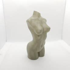 Picture of print of Woman body optimised for vase mode Cet objet imprimé a été téléchargé par Błażej Ejsmont