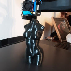 Picture of print of Woman body optimised for vase mode Cet objet imprimé a été téléchargé par Chris Hangsleben