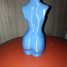 Picture of print of Woman body optimised for vase mode