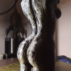 Picture of print of Woman body optimised for vase mode Cet objet imprimé a été téléchargé par Bob Moore