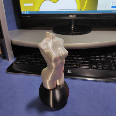 Picture of print of Woman body optimised for vase mode Cet objet imprimé a été téléchargé par Gu. An.