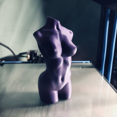 Picture of print of Woman body optimised for vase mode