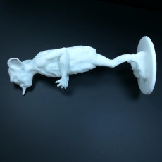 Picture of print of Dobby Remake This print has been uploaded by Li Wei Bing
