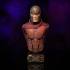 Magneto Bust - Xmen Days of future past image