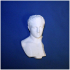 Roman youth head Met Museum NYC print image