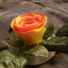 Picture of print of Realistic Rose