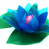 Water Lily (with a hidden secret) image
