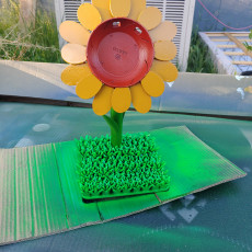 Picture of print of Google Home Sunflower This print has been uploaded by Benjamin A Dominguez