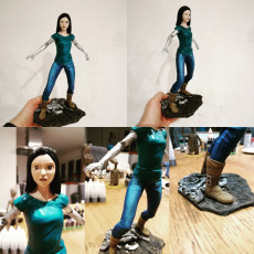 Picture of print of Alita project