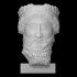 Head of a bearded man image