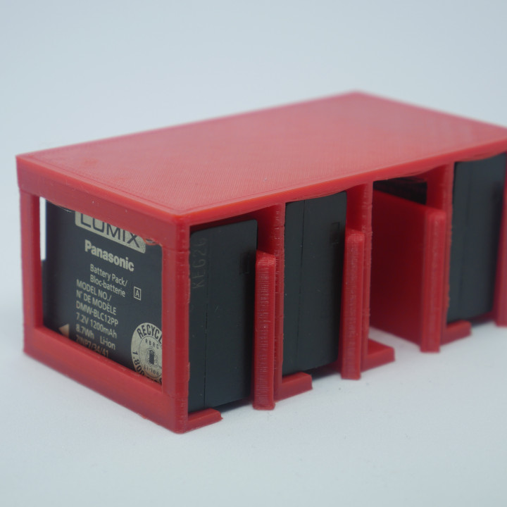 DMW-BLC12PP battery case