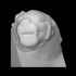 Carved Lion's Head image