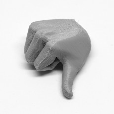 Picture of print of ZIPGUY THUMBS UP HAND -RIGHT This print has been uploaded by David William Webb