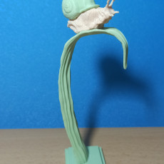 Picture of print of Bronze snail statue