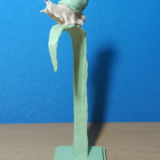 Picture of print of Bronze snail statue