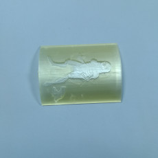 Picture of print of Pickle Rick Lithophane This print has been uploaded by Li Wei Bing