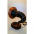 Amazon Echo Dot Gramophone image
