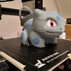 Picture of print of Google home Bulbasaur