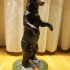Standing Black Bear print image