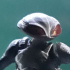 Black-Manta inspirited figure bust ( reduced version ) image