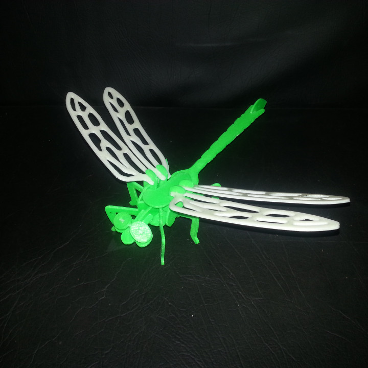 Dragon Fly 3D Puzzle
