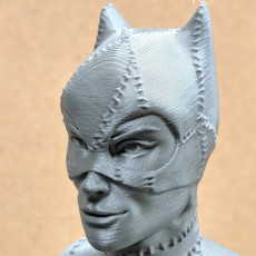 Picture of print of Catwoman bust This print has been uploaded by Tereza Pilatova