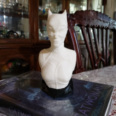 Picture of print of Catwoman bust This print has been uploaded by Ashe Junius