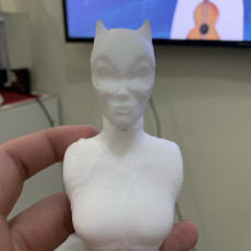 Picture of print of Catwoman bust This print has been uploaded by Danilo Lemes
