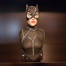 Picture of print of Catwoman bust This print has been uploaded by Zarbuta