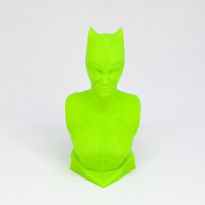 Picture of print of Catwoman bust This print has been uploaded by Peter Hansen