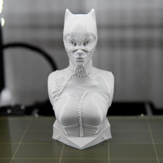 Picture of print of Catwoman bust This print has been uploaded by Steve Smith