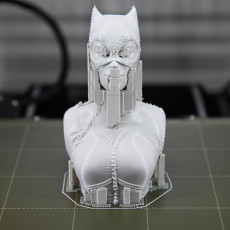 Picture of print of Catwoman bust This print has been uploaded by Steve Smith