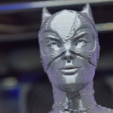 Picture of print of Catwoman bust This print has been uploaded by Thirteen Lynch