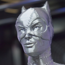 Picture of print of Catwoman bust This print has been uploaded by Thirteen Lynch