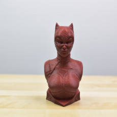 Picture of print of Catwoman bust This print has been uploaded by FilamentOne
