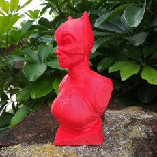 Picture of print of Catwoman bust This print has been uploaded by Franco MA