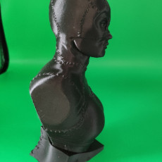 Picture of print of Catwoman bust This print has been uploaded by Patrick Born