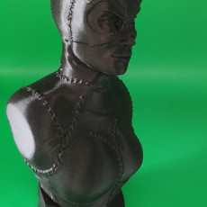 Picture of print of Catwoman bust This print has been uploaded by Patrick Born