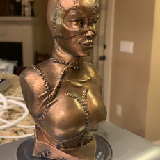 Picture of print of Catwoman bust This print has been uploaded by Mike Thomas