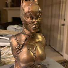 Picture of print of Catwoman bust This print has been uploaded by Mike Thomas