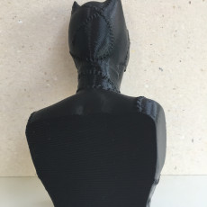 Picture of print of Catwoman bust This print has been uploaded by Angel Spy