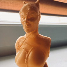 Picture of print of Catwoman bust This print has been uploaded by Dread ArT