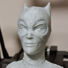 Picture of print of Catwoman bust This print has been uploaded by Kieran Clarke