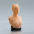 Catwoman bust image