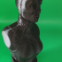 Catwoman bust print image