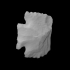 Projectile point image