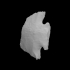 Projectile point image
