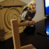parrot holder image