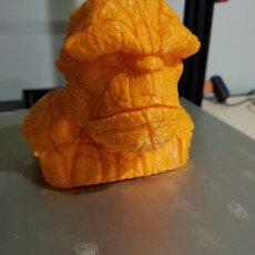 Picture of print of The Thing Bust This print has been uploaded by Brian O
