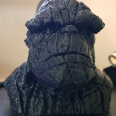 Picture of print of The Thing Bust This print has been uploaded by Cyrus Park